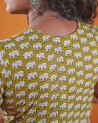 Green Safari Block Dress (short sleeves) - Citrus Mist