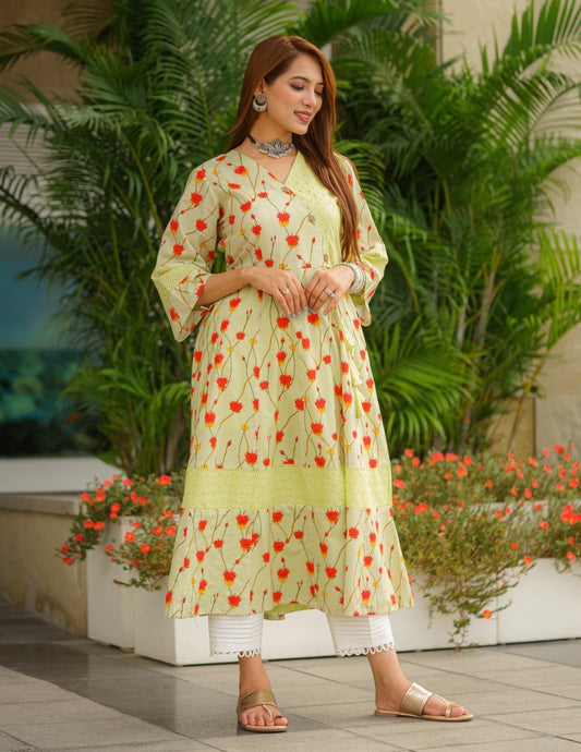 Pristine Padma Pichwai & Hakoba Dress Cum Kurta